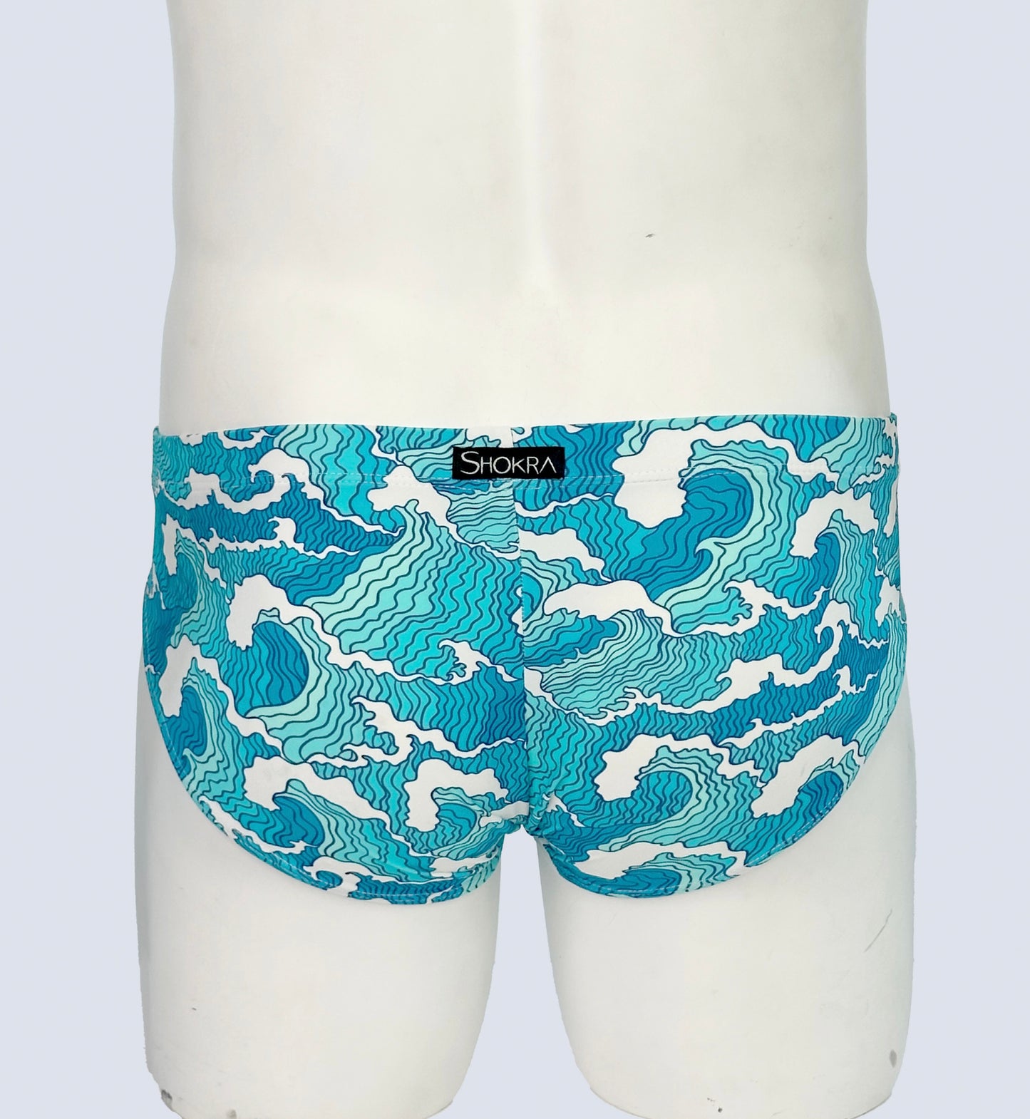 Men's Swim Brief- Hawaii