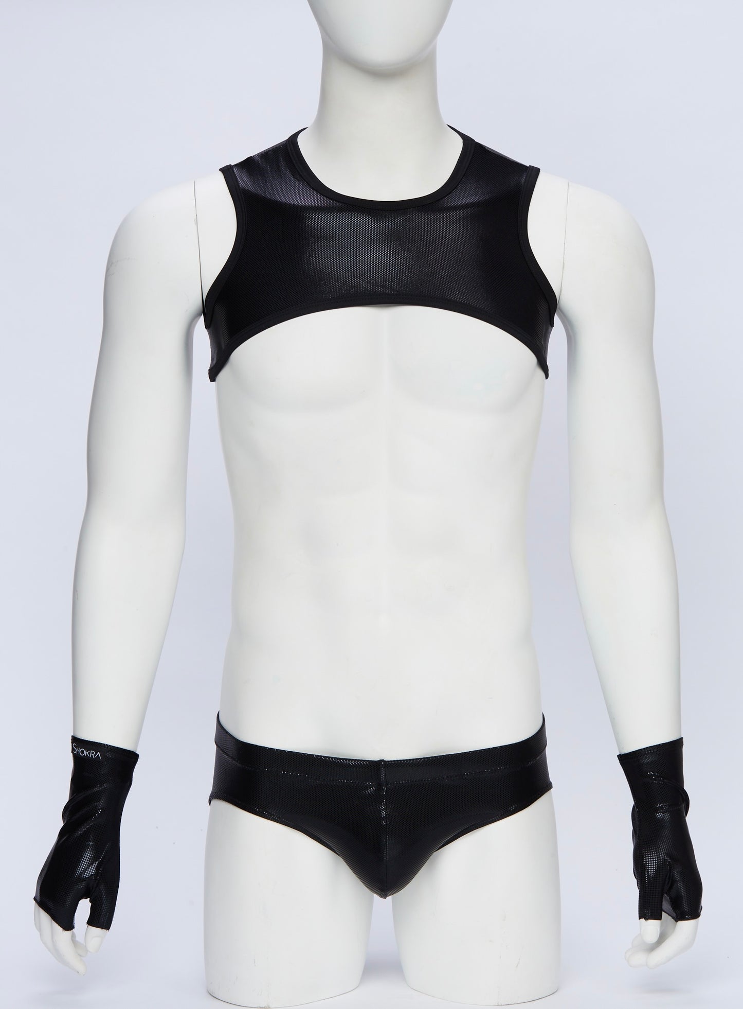 Wet Black Cropped Harness with Briefs and Gloves
