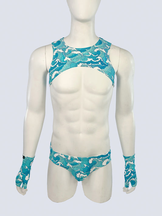 Hawaii Cropped Harness with Briefs and Gloves