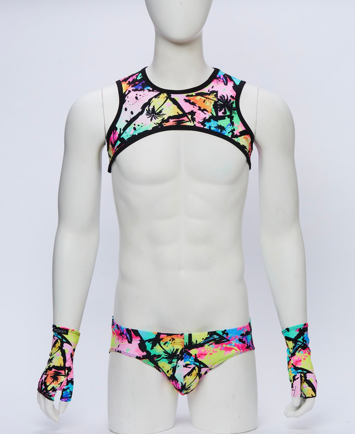 Palm Springs Cropped Harness with Briefs and Gloves