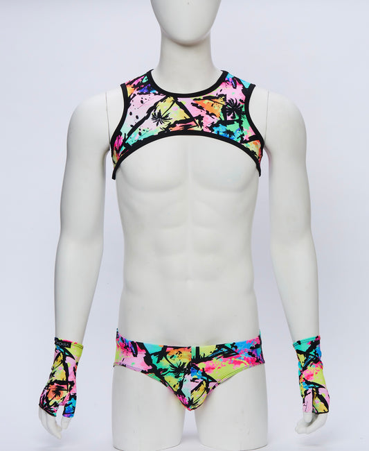 Palm Springs Cropped Harness with Briefs and Gloves