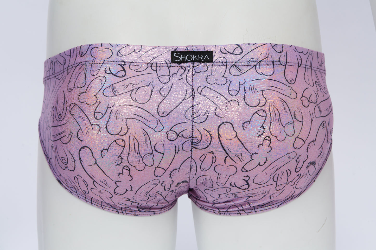 Men's Swim Brief- Hologram Weiner Fest