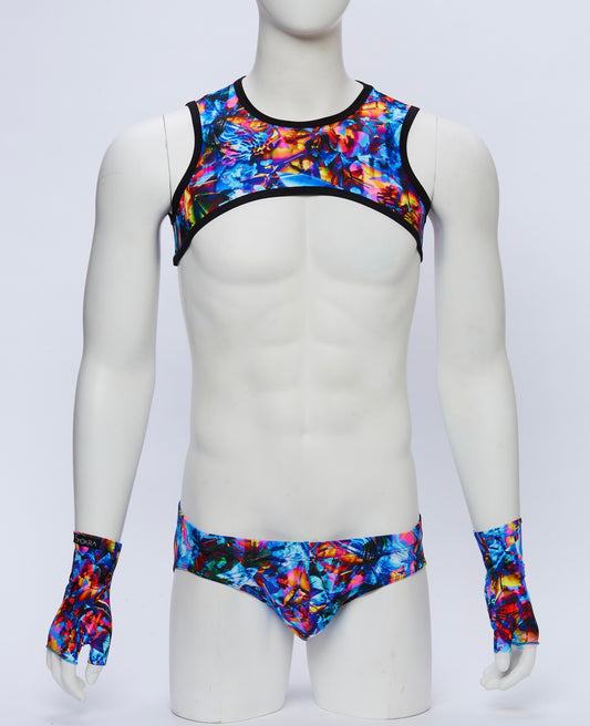 Kaleidoscope Cropped Harness with Briefs and Gloves